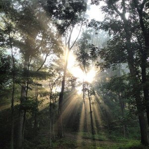 Sun Breaking Through2